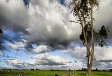 开云体育官网-曼联核心球员体能恢复，备战河床