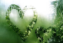 开云体育入口-布宜诺斯艾利斯独立球迷现场助威，球队斗志昂扬