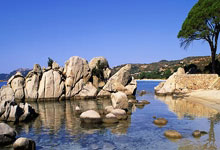 开云体育app-钢铁防线铸就荣光！汉堡1球定江山，升级之路迎曙光