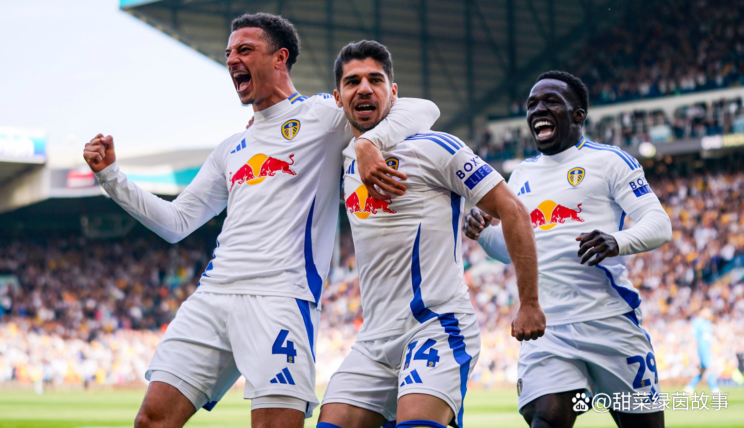 利兹联爆冷击败对手，取得胜利