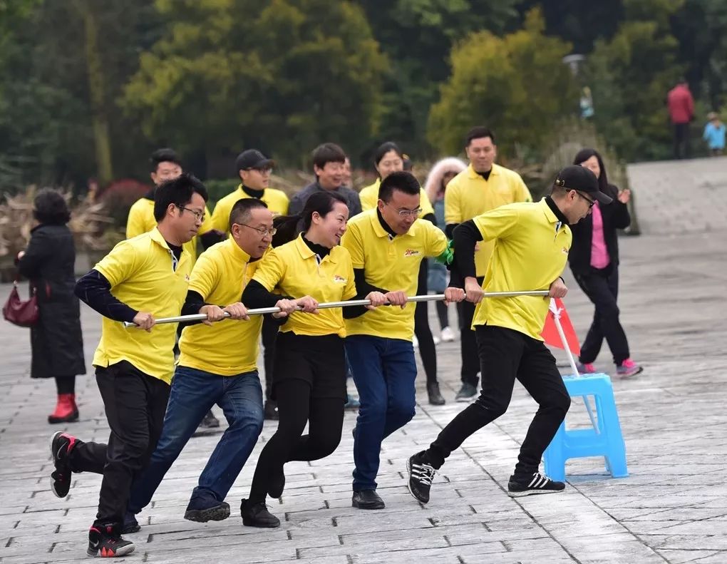 汉堡SV欲赢得胜利，全队团结奋战