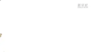 包含富力获封主帅胜利后反正，回顾前无前无所获的词条